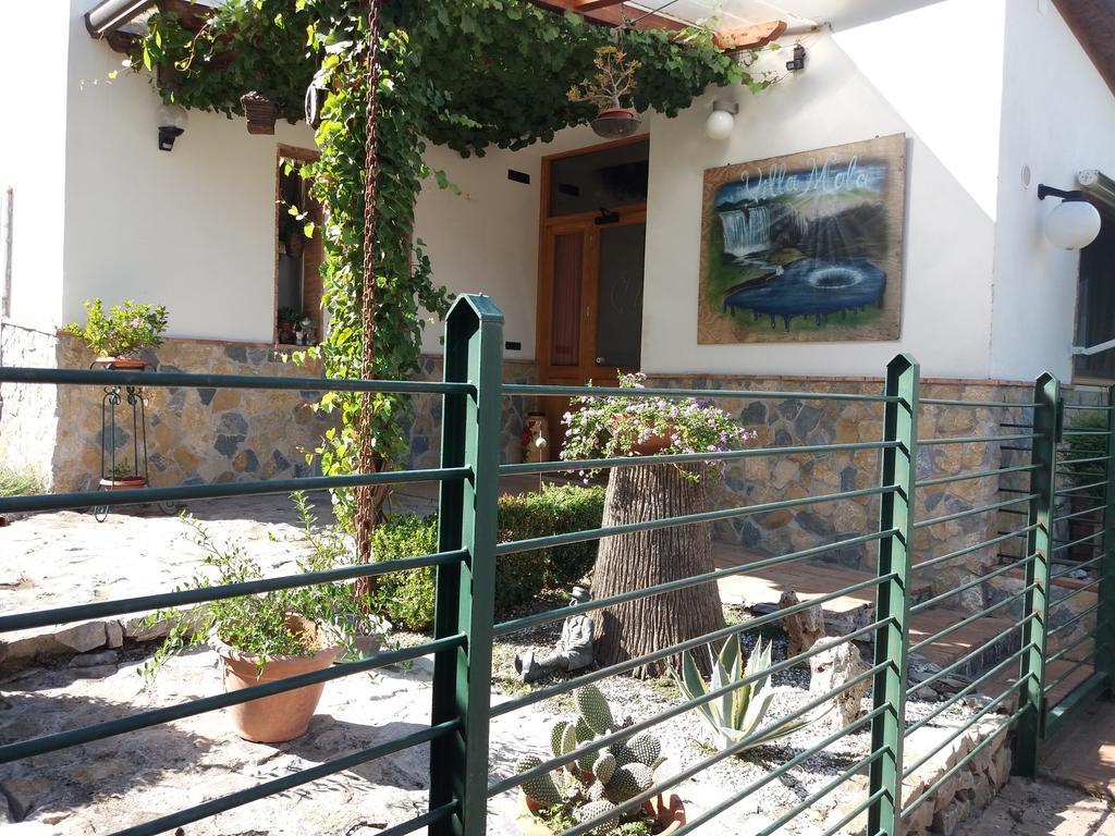 Villa Mola Bed And Breakfast Corbara  Eksteriør billede