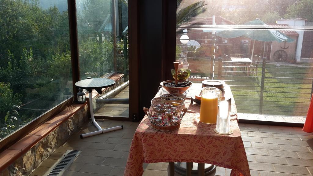 Villa Mola Bed And Breakfast Corbara  Eksteriør billede